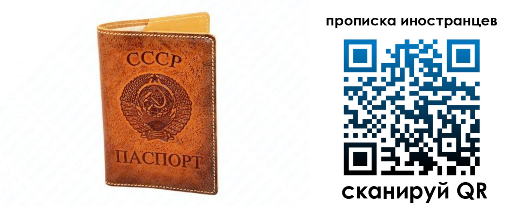 прописка для школы в Лагани